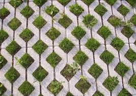 Picture of grass growing through spaced block.